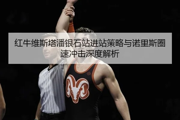 红牛维斯塔潘银石站进站策略与诺里斯圈速冲击深度解析
