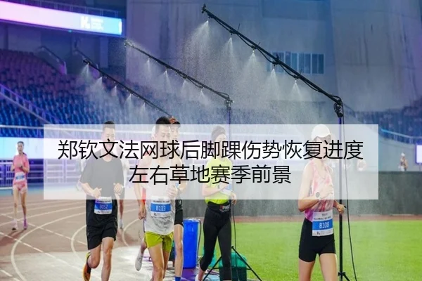 郑钦文法网球后脚踝伤势恢复进度 左右草地赛季前景
